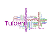 Wordle Tulpen